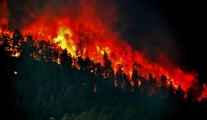 Okanogan Wild Fire